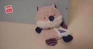 [GiGwi] Suppa Puppa Series: Racoon/Lion | Makes Squeaking Sound And Helps Puppies To Clean Their Teeth During Play | Collection for Small Dogs