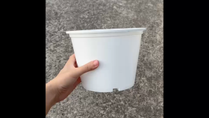 กระถางพลาสติก8นิ้ว สีขาว เนื้อหนา ราคาส่ง10ใบ