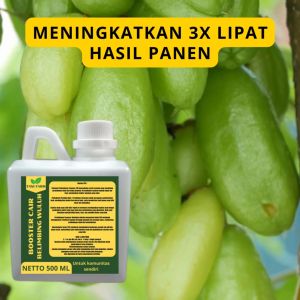 Pupuk Booster Belimbing Wuluh: Cara Meningkatkan Kualitas dan Hasil