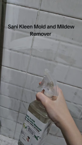 Sani Kleen Mold and Mildew Remover Spray 500mL
