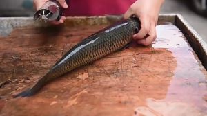 Alat Pembersih Sisik Ikan Otomatis Elektrik Wireless Fish Scale Skin Remover