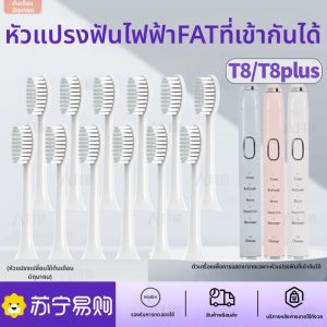 หัวแปรงสีฟันไฟฟ้าแบบเปลี่ยนได้สำหรับ FATT ช่วงต้นเดือนมิถุนายน หัวแปรงสีฟันแบบอเนกประสงค์สำหรับผู้ใหญ่ ทำความสะอาดลึก ขนาดปกติ