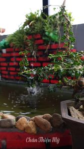 Máy Niệm Phật Hoa Sen Mini Đeo Cổ CHÂN THIỆN MỸ Máy Nghe Kinh Có Sẵn 60 Bài