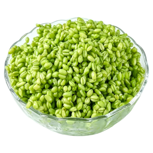 WENXIANGZAN | Organic Skinless Fresh Green Wheat Berries Porridge Ingredients