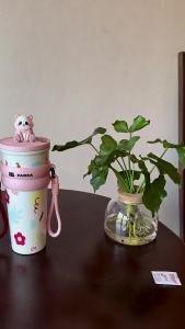 แก้วเก็บความเย็น แก้วน้ำเยติ 304 แก้วน้ำสแตนเลส 700มล เก็บเย็น-ร้อนได้นาน ลวดลายแพนด้าที่น่ารัก CUP