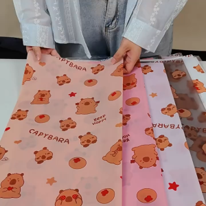 Kertas Buket Bunga Cellophane Buket motif capybara KB83