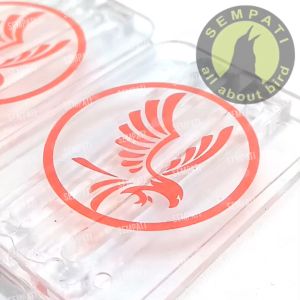 Variasi Sangkar Murai Batu Transparan Stoper Stopper Bening