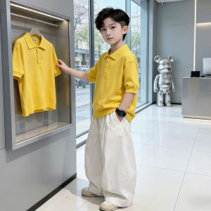 LIREGONGZHU | Boys Lightweight Short Sleeve Polo Suit for Older Kids