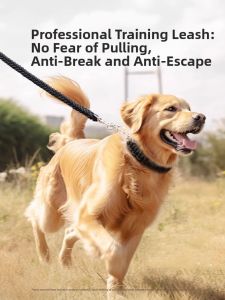 Bite-Resistant Dog Leash for Medium to Large Dogs