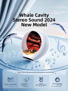 Bizoe | High-Quality Noise-Canceling Wired In-Ear Headphones with Type-C and 3.5mm Jack