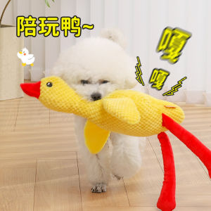 Plush Dog Toys Noise Making Pet Chew Proof Teeth Grinding Toys for Boredom Relief Suitable for Puppies And Small Breeds