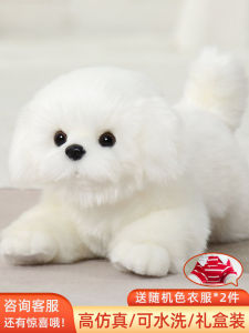 Comate Maltese Doll Artificial Puppy Dog Toy Stuffed Sleep Hug Doll Pet Dog Gift