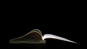 Máy thổi công suất cao MaAnt Hurricane JF-1 turbo Fan | Táo Thẩm Tools