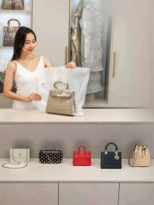 TAILI | Transparent Dustproof Moistureproof Mildew Proof Storage Bag