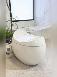 TEM | Egg-shaped Smart Automatic Integral Toilet