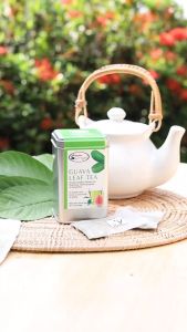 Humble Ginger Guava Leaf Tea: 2gx30: Healthy Blood Glucose/Promotes Healthy Blood Glucose Relief Symptoms of Diarrhoea Guava Leaf Tea For Blood Sugar Guava Good Health - Lazada