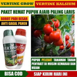 (PALING MANJUR) Paket 1 VERTI GROW & 1 VERTINE KALSIUM Pupuk Pelebat Tomat Musim Hujan Pupuk Pelebat dan Perekat Tomat dan Semua Tanaman - Obat Pelebat Organik Cair Tomat Terlaris - Pupuk Kalsium dan Perekat Ampuh Anti Layu Rontok - Obat Tomat Busuk Terb