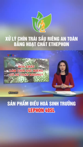 Phân bón Xử lý trái cây chín LEphon NHÚNG GIÚP MAU CHÍN TRÁI NGỌT lọ 500ml