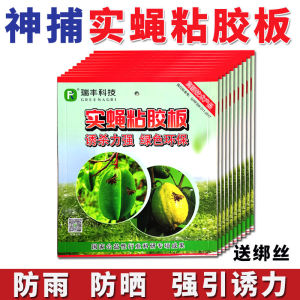 Fruit Fly Lure Cutting Board Fruit Fly Viscose Board Needle Bee Melon Fly Sticky Card Fruit Tree Fly Paper Paste Fruit Fly Paste Magic Catch Speed Lure