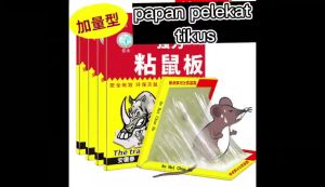 Super Strong Adhesion Mouse Glue Traps: Sticky Solutions for Rodents & Bugs