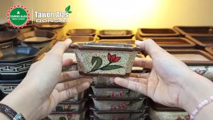 Pot Bonsai Keramik Segi Empat Bagus Kecil Small Mini Mame - Lukis