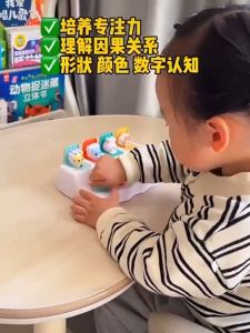 ของเล่นสำหรับการจับคู่ของเด็กเล็ก กล่องอุปกรณ์แบบเล่นซ่อนและค้นหา สิ่งของเพื่อความเข้าใจรูปทรงของเด็กเล็ก สิ่งของเพื่อการศึกษาแบบบำบัดต้นแบบและพัฒนาปัญญา การฝึกการคิดเชิงลอจิก และสวิตช์