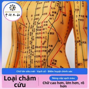 Mô hình châm cứu 12 kinh lạc toàn thân phục vụ giảng dạy