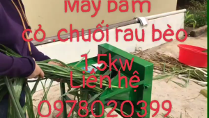 Máy băm cỏ rau bèo với công suất 1500w-(15HP)