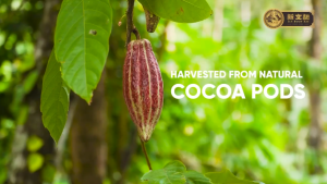 [ HALAL ] CAP KUCING Chocolate Malt｜Minuman Malt Coklat｜Sin Boon Kee kilang kopi sejak 1944｜1kg