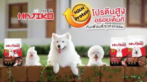 Hạt chó Hajiko Hachiko Nhật Bản 🐶 FREE SHIP 🐶 dành cho chó con chó giống nhỏ và chó trưởng thành.