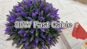 Ldnio 30W Super Fast Charging Cable Type C Cable Fast Charge Charger Cable Android Cable Micro Cable For iPhone