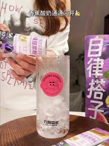 Dietary Fiber Rich Plum and Guava Chia Seed Soy Milk Powder Meal Saviour
