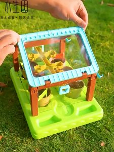 [SG Stock] Sunshine Planting House Childrens Plant Flower House Observation Toy Handmade DIY Scientific Experiment Set