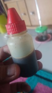 Essen oplosan dominan induk ikan mas