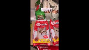 Combo Thức ăn cho mèo hạt Zoicat 1kg hạt cho mèo zoi cat zoi cat food zoicat cho mèo - Nuôi Pet Shop