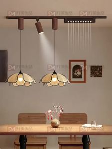 DENGMEIYOUPIN | Dual-head Adjustable Anti-glare LED Dining Light