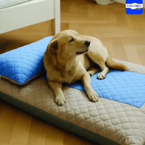 Columbus Pet เบาะสัตว์เลี้ยง เกรดพรีเมียม ใยชาโคล รองรับสรีระ สบาย ไม่อับชื้น มีหลายขนาด