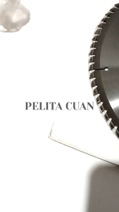 Mata Potong Kayu GMT 14 inch x 80T