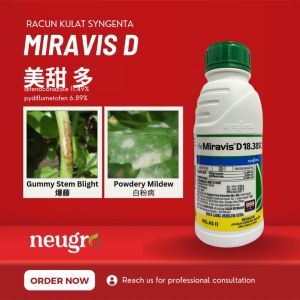 SYNGENTA Miravis D 18.38SC 500ml Racun Kulat Hawar Batang Bergam Antraknos Kulapuk Berdebu Fungicide Gummy Stem Blight  Anthracnose 治蔓枯病 炭疽病 白粉病