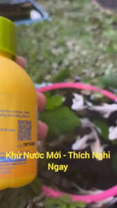 EXTRABIO FASTSAFE - KHỬ NƯỚC MỚI GIÚP CÁ CẢNH THÍCH NGHI NGAY