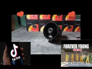 BACKHORN • BREAK HORN ⭐FOREVER YOUNG ⭐ 12-24V FOR ALL VEHICLES back horn for truck 24v