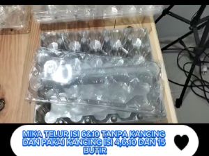 ISI 25 pcs MIKA TELUR tempat box kemasan plastik untuk TRAY 1046 telor EGG MIKA TEBAL DAN ADA PENGUNCI DAN ADA YANG TIDAK ADA PENGUCI NYA