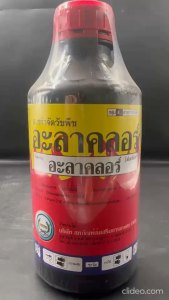 หวีทอง อะลาคลอร์ ขนาด 1 ลิตร คุมหญ้าทุกชนิดก่อนงอกในแปลงผัก คะน้า ถั่ว พริก ข้าวโพด อ้อย มันสำปะหลัง หอม ผักกาด กระเทียม คุมได้นาน 3 เดือน