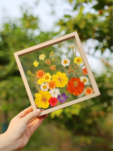 XIAOXIONGERBAN | Transparent Glass Dried Flower Display Frame