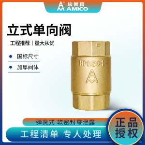 Emeco 410วาล์วตรวจสอบแนวตั้งวาล์วน้ำทองเหลืองวาล์วตรวจสอบ4จุดใช้ในครัวเรือนป้องกันน้ำย้อนกลับขอบวาล์วทางเดียว