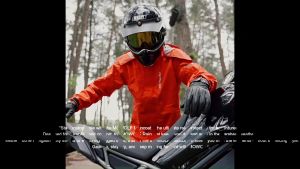 SK 30205 Knuckle Bearing