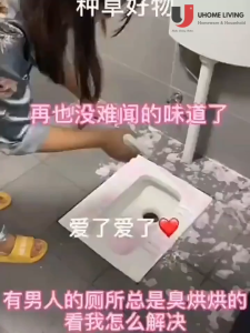 [Local Seller] Japan Toilet Bowl Cleaner Bathroom Cleaning Spray (500ml) Glass Stain Remover Tile Floors Cleaner Disinfect Fragrance