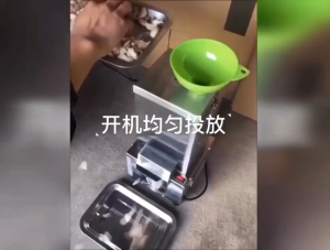 BABEDUO Household And Commercial Use Garlic Peeling Machine Stainless Steel Fast Peeling Machine Food Processing Machine Electric Garlic Peeler