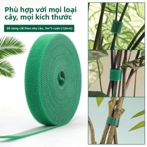 Loolecondera | Băng Dính Hai Mặt Hỗ Trợ Cây
