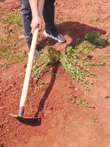 ✨YQ จอบ จอบพร้อมด้าม จอบถากหญ้า จอบถางหญ้า ดับและปลอมแปลงปากจอบจะไม่ยุบหรือม้วนงอ